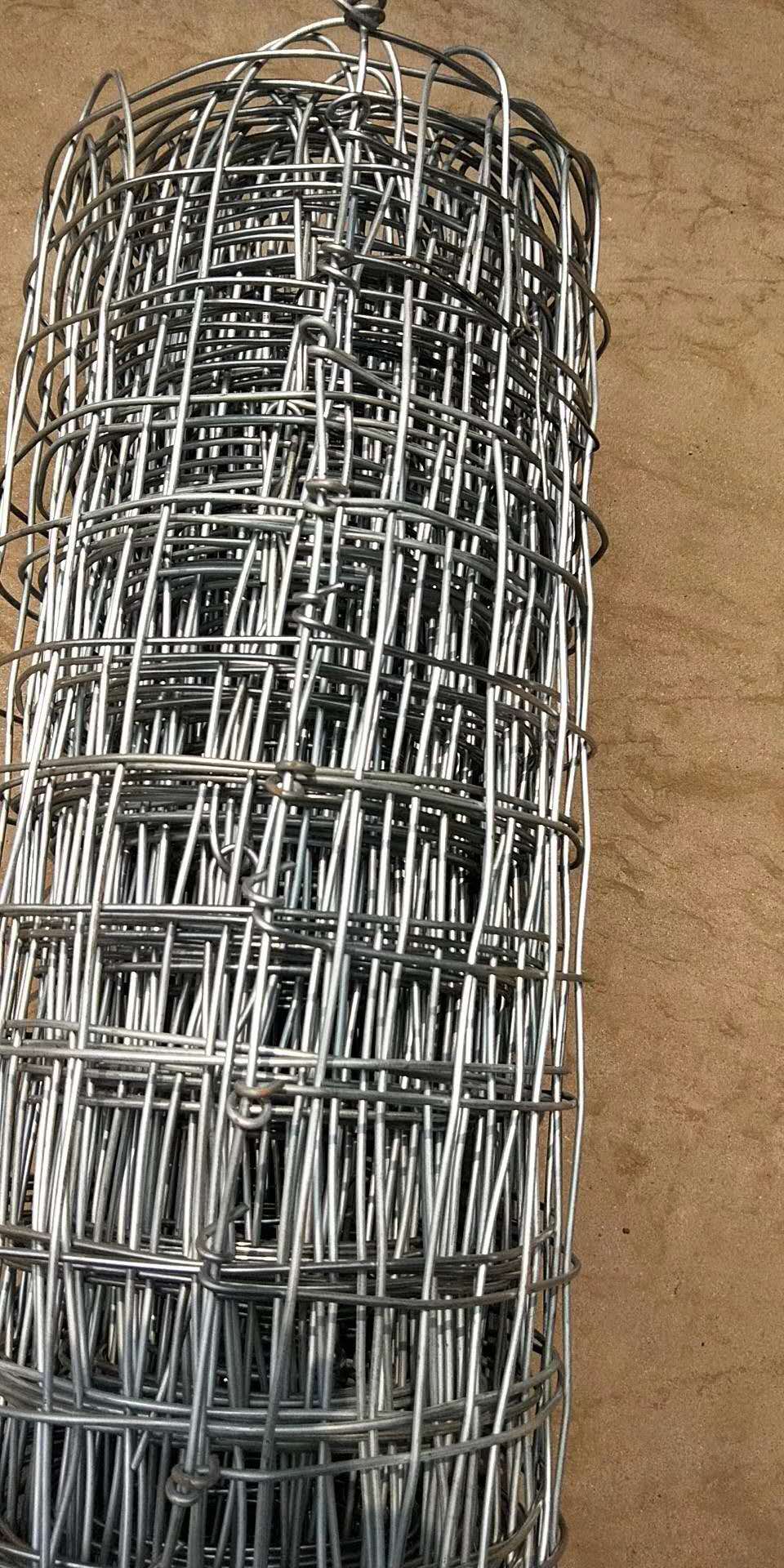 經緯網的特色